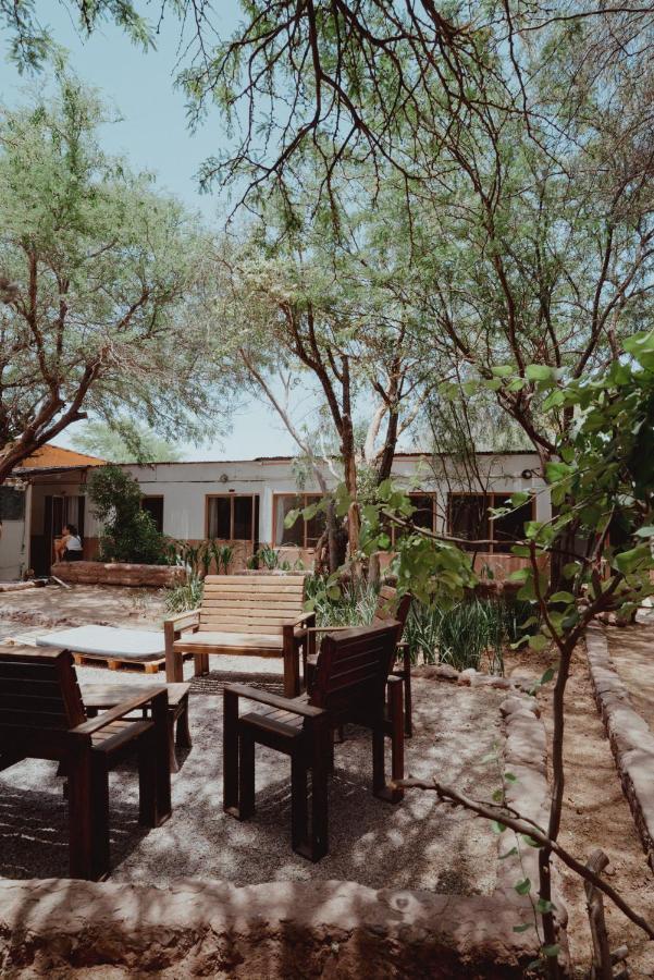 Vientos - La Yareta Casa de hóspedes San Pedro de Atacama Exterior foto