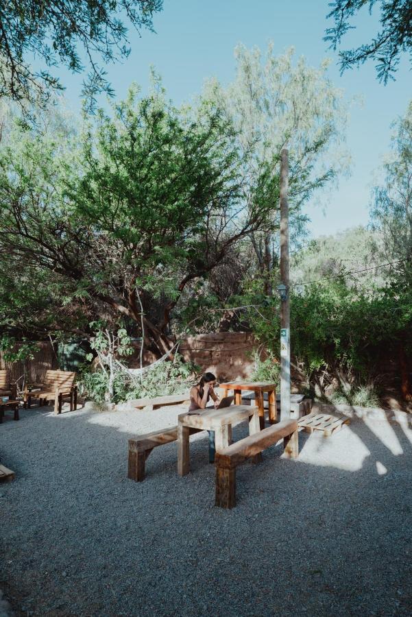 Vientos - La Yareta Casa de hóspedes San Pedro de Atacama Exterior foto